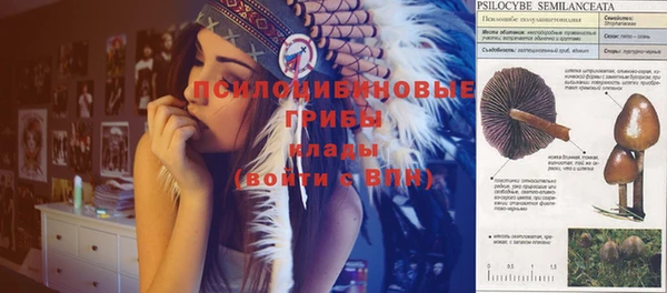 прущие крисы Липки